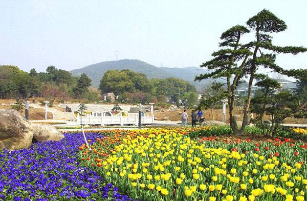 无锡太湖花卉园拓展基地